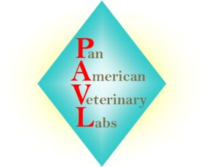 Logo for PAVL labs