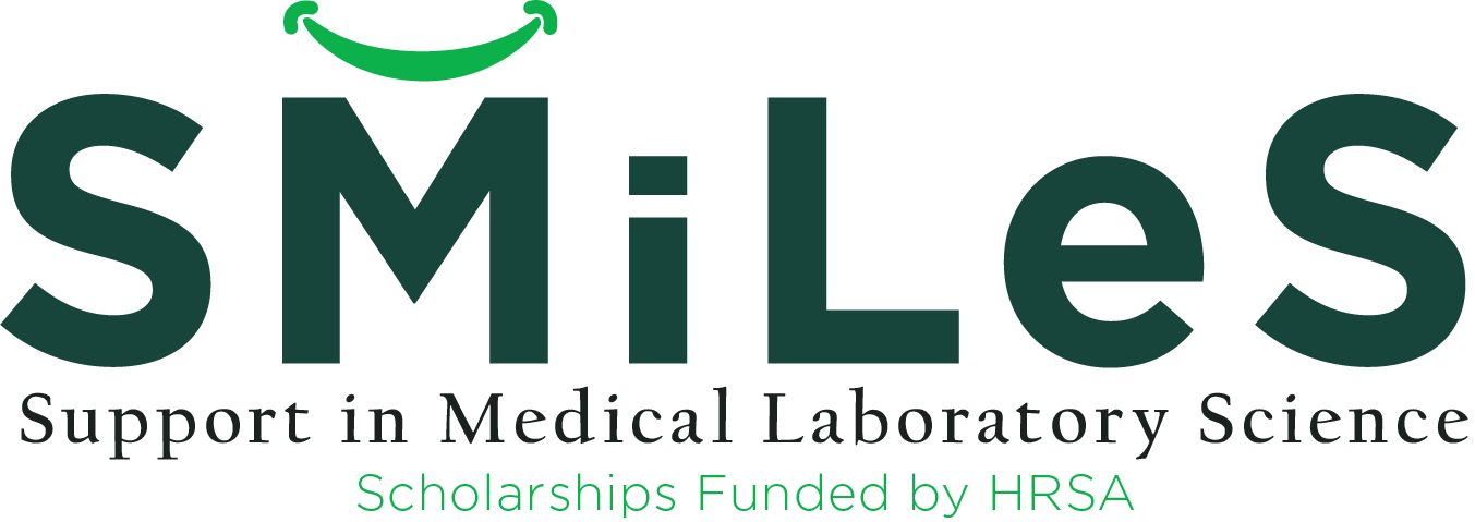 SMiLeS Logo